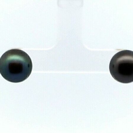 Honora Black Cultured Freshwater Pearls Button Stud Earrings 14K Yellow Gold