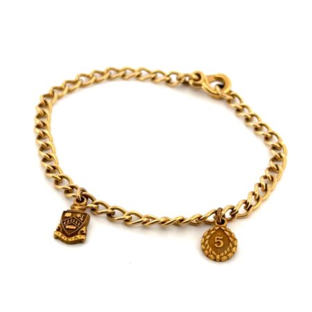 6.5” 1/20 12k Gold Filled Epsilon Sigma Alpha Sorority Charm Bracelet 6.3g